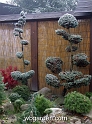 wbgarden autumn 24